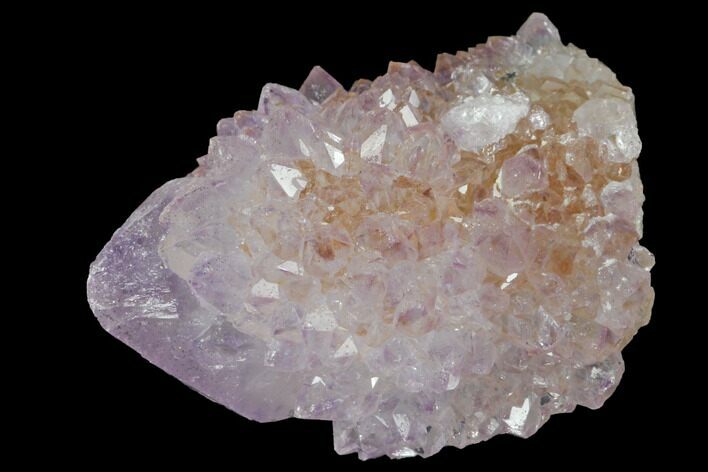 Cactus Quartz (Amethyst) Crystal - South Africa #132454